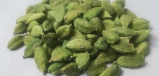 A slight increase in cardamom prices is expected for mountain valley farmers.