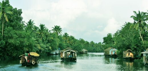 A Guide to the Best Alleppey Houseboat Packages All You Need to Know for a Perfect Vacation.